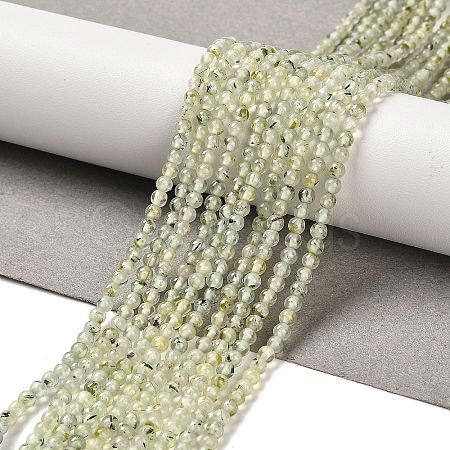 Natural Prehnite Beads Strands G-B107-E01-01-1