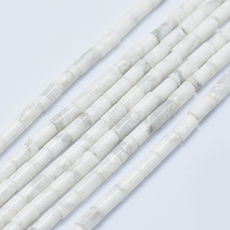 Natural Howlite Beads Strands G-F631-B08-1