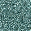 MIYUKI Delica Beads SEED-MY11-DB1767-3