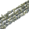 Natural Serpentine/Green Lace Stone Beads Strands G-S314-35-1