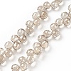 Transparent Glass Beads Strands GLAA-G096-01E-1