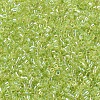 MIYUKI Delica Beads Small SEED-X0054-DBS0174-3