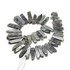Natural Labradorite Beads Strands G-R419-03-2