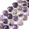 Natural Amethyst Beads Strands G-P570-E17-02-2