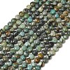 Natural African Turquoise(Jasper) Beads Strands GG-CBA9631-D12-01-2