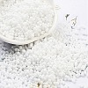 Baking Paint Glass Seed Beads SEED-A033-04M-1
