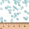 Glass Seed Beads SEED-H002-D-A812-4