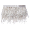 2M Fashion Fibre Imitation Ostrich Feather Trimming DIY-GF0014-47B-1