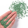 12/0 Glass Seed Beads SEED-US0003-2mm-127-4