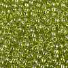 TOHO 8/0 Round Beads SEED-JPTR08-0105-2