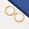 925 Sterling Silver Hoop Earrings STER-B008-01B-G-1