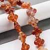 Natural Red Agate Beads Strands G-P520-A06-01-2