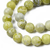 Natural Yellow Mustard Jasper Beads Strands G-Q462-10mm-39-3