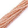 Electroplate Glass Beads Strands X-EGLA-F149-PL-02-2