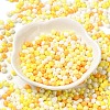 6/0 Opaque Baking Paint Glass Seed Beads X1-SEED-M012-02A-28-2