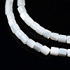 Natural Trochid Shell/Trochus Shell Beads Strands SSHEL-N034-77-A01-3