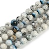 Natural Blue Ice Glacierite Stone Beads Strands G-H062-A04-01-1