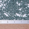 MIYUKI Delica Beads SEED-X0054-DB0264-4