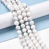 Natural Howlite Beads Strands G-E571-29B-2