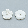 Freshwater Shell Beads SHEL-S275-009-2