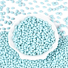 500Pcs Baking Paint Glass Seed Beads SEED-PA0001-05D-3