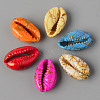 Natural Cowrie Shell Beads X-SSHEL-N0232-08-2