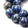 Natural Lapis Lazuli Beads Strands G-G344-A09-10mm-4