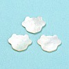 Natural Sea Shell Cabochons SHEL-D079-15-2