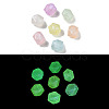 Luminous Transparent Acrylic Beads LACR-U001-02-1