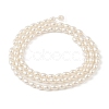 Electroplated Shell Pearl Beads Strands BSHE-Z009-10C-2