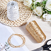 2 Rolls 2 Colors Polyester Sparkle Sequin Yarn OCOR-CY0002-52B-3