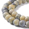 Natural Yellow Turquoise(Jasper) Beads Strands G-H245-02A-3