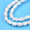 Natural Cultured Freshwater Pearl Beads Strands PEAR-N012-02N-4