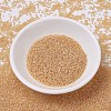 MIYUKI Delica Beads X-SEED-J020-DB0852-2