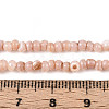 Natural Freshwater Shell Dyed Beads Strands SHEL-T020-29B-05-4
