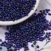 MIYUKI Round Rocailles Beads X-SEED-G008-RR1020-1
