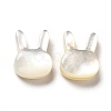 Natural White Shell Beads SHEL-G014-12-2
