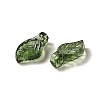 Transparent Acrylic Charms TACR-G041-01B-2