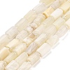 Natural White Moonstone Beads Strands G-G068-A36-01-2