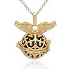 Golden Tone Brass Hollow Round Cage Pendants KK-J234-02G-1