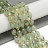 Natural Prehnite Beads Strands G-N342-58-2