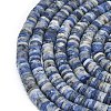 Natural Sodalite Beads Strands G-P575-B26-6x1mm-3