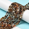 Natural Agate Beads Strands G-H302-A01-03-2