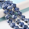 Natural Blue Spot Jasper Beads Strands G-K357-C03-01-2