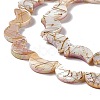 Drawbench Style Natural Freshwater Shell Beads Strands X-SHEL-F003-05-4