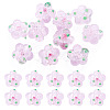 10Pcs Handmade Lampwork Beads LAMP-TADJ0001-01J-1