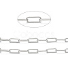 Tarnish Resistant 304 Stainless Steel Paperclip Chains CHS-L022-03P-A-2