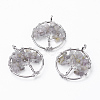 Natural Labradorite Pendants X-G-E419-16P-2