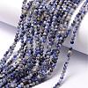 Natural Sodalite Bead Strands G-K146-47-3mm-2
