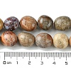 Natural Fossil Coral Beads Strands G-G117-A01-01-5